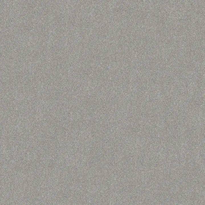 Shaw Floors Good Idea — Fog · 5E905-00520 — flooring selection with LeviArs Design & Remodeling