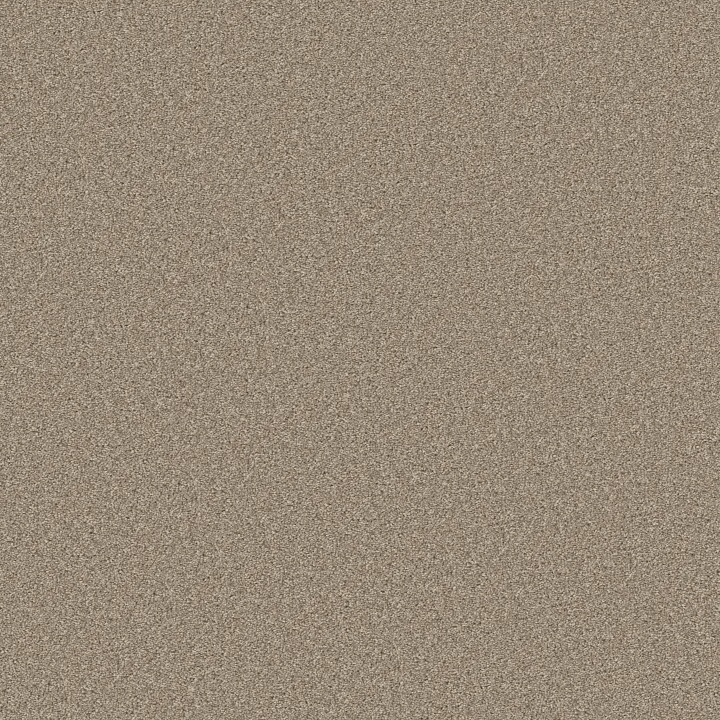 Shaw Floors Good Idea — Grecian Tan · 5E905-00123 — flooring selection with LeviArs Design & Remodeling