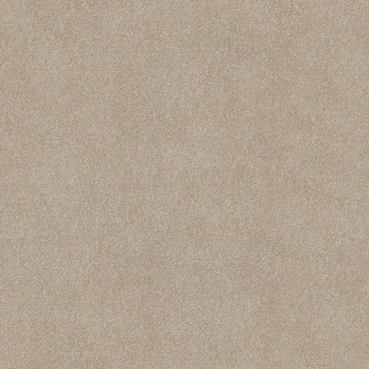 Shaw Floors Good Idea — Practical Beige · 5E905-00132 — flooring selection with LeviArs Design & Remodeling