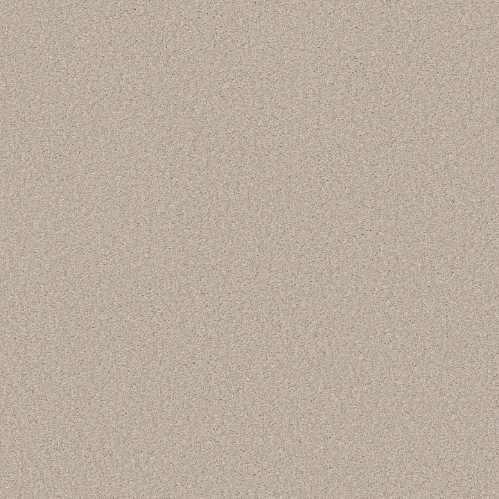 Shaw Floors Good Idea — Sandy Shore · 5E905-00131 — flooring selection with LeviArs Design & Remodeling