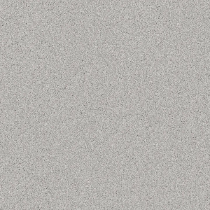 Shaw Floors Good Idea — Soft Fleece · 5E905-00120 — flooring selection with LeviArs Design & Remodeling
