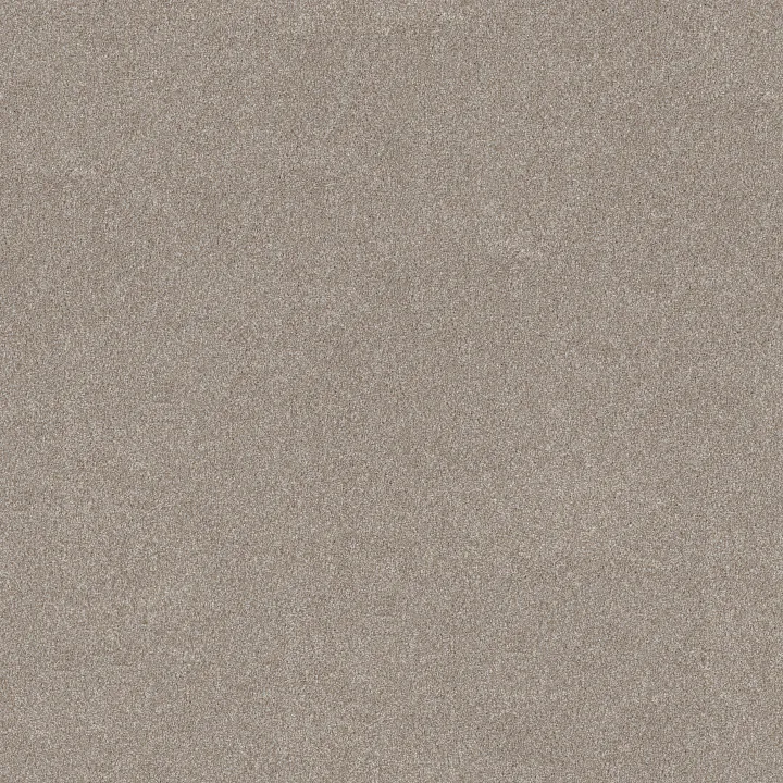 Shaw Floors Good Idea — Winter Dunes · 5E905-00720 — flooring selection with LeviArs Design & Remodeling