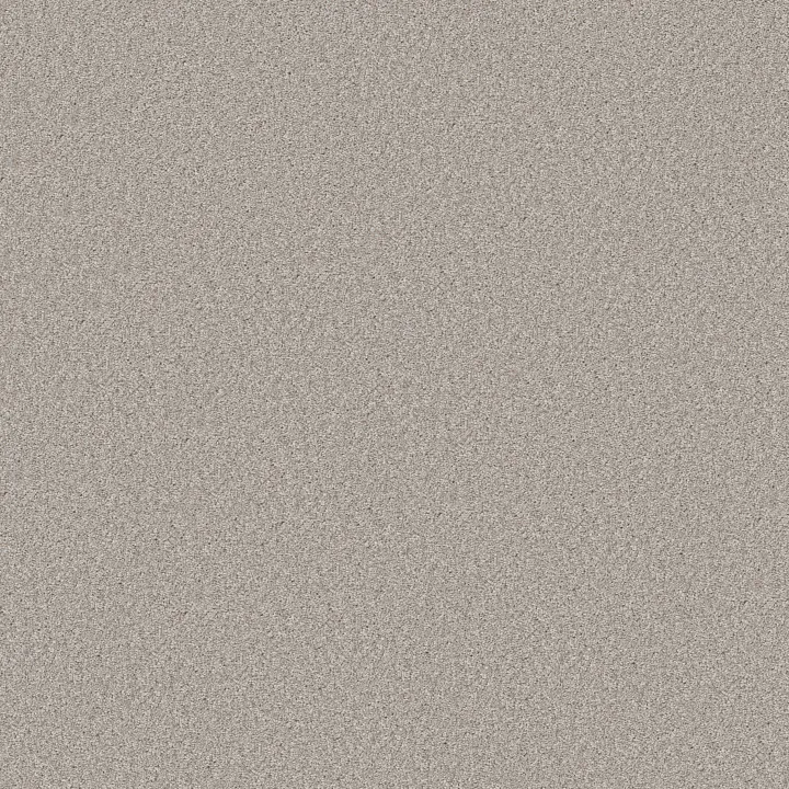 Shaw Floors Good Move II — Desert Light · 5E907-00121 — flooring selection with LeviArs Design & Remodeling
