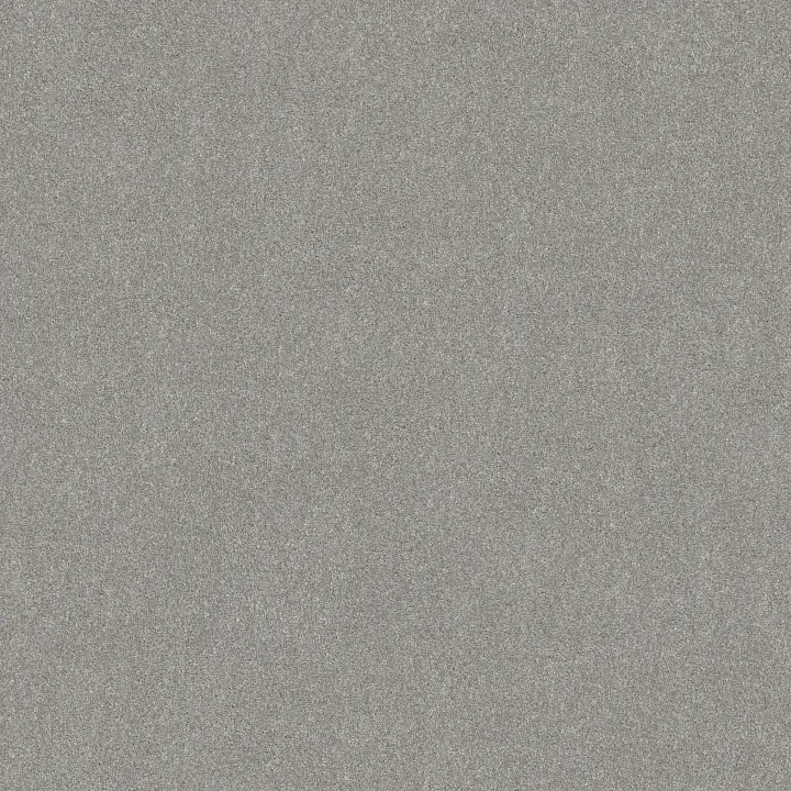 Shaw Floors Good Move II — Fog · 5E907-00520 — flooring selection with LeviArs Design & Remodeling