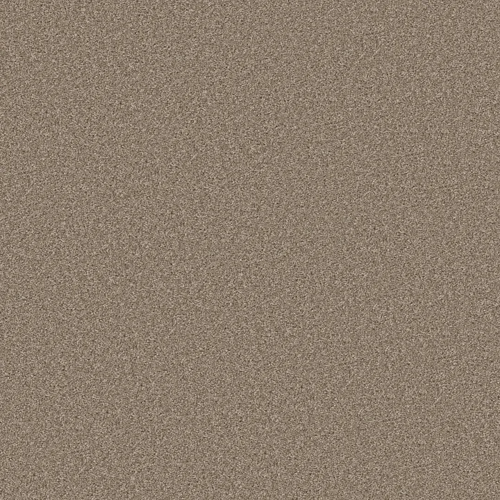 Shaw Floors Good Move II — Grecian Tan · 5E907-00123 — flooring selection with LeviArs Design & Remodeling