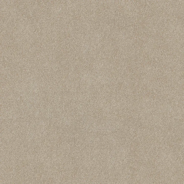 Shaw Floors Good Move II — Practical Beige · 5E907-00132 — flooring selection with LeviArs Design & Remodeling
