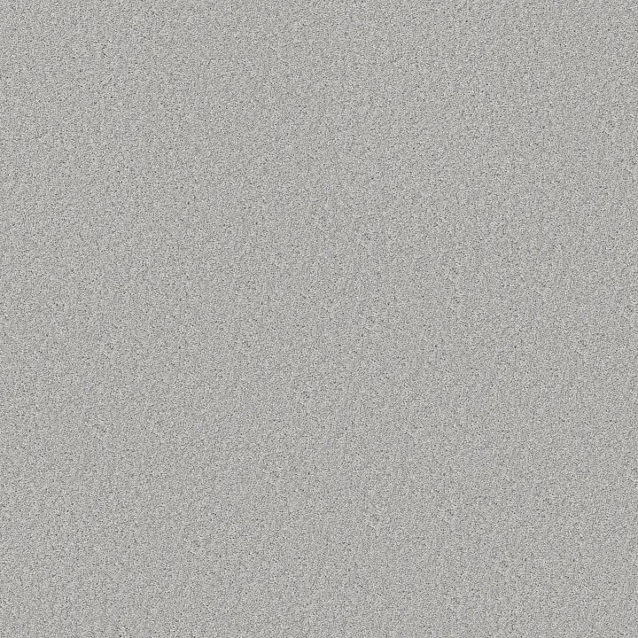 Shaw Floors Good Move II — Soft Fleece · 5E907-00120 — flooring selection with LeviArs Design & Remodeling