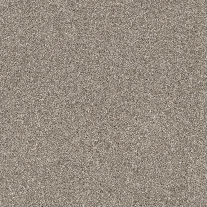 Shaw Floors Good Move III — Winter Dunes · 5E908-00720 — flooring selection with LeviArs Design & Remodeling