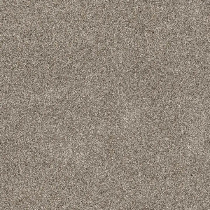 Shaw Floors Good Move II — Winter Dunes · 5E907-00720 — flooring selection with LeviArs Design & Remodeling