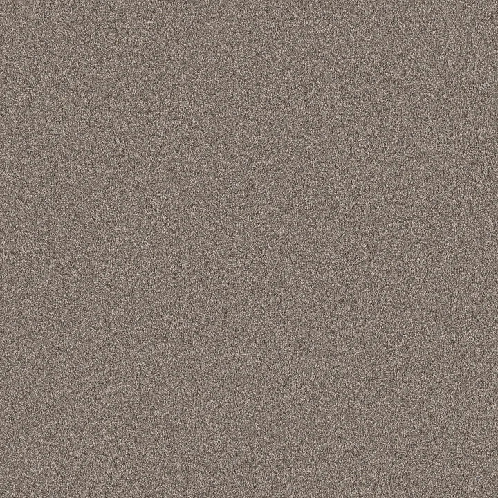 Shaw Floors Grand Influence III — Castle Rock · 5E904-00523 — flooring selection with LeviArs Design & Remodeling