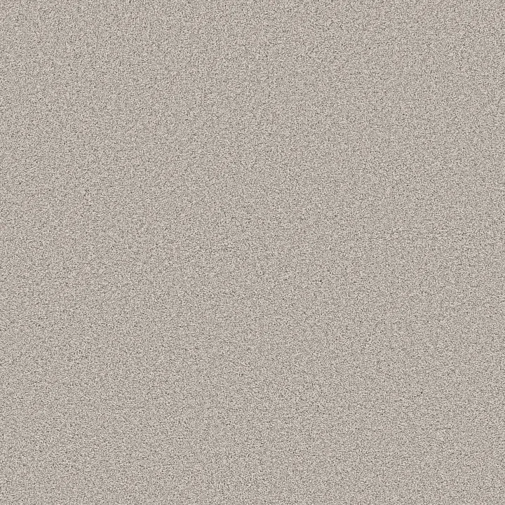 Shaw Floors Grand Influence III — Fresco · 5E904-00111 — flooring selection with LeviArs Design & Remodeling