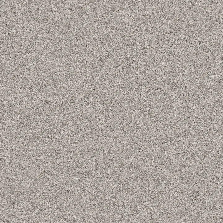 Shaw Floors Grand Influence III — Gentle Wind · 5E904-00121 — flooring selection with LeviArs Design & Remodeling