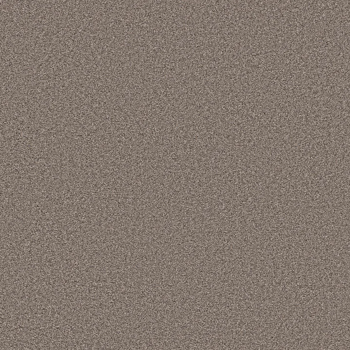 Shaw Floors Grand Influence III — Mushroom · 5E904-00118 — flooring selection with LeviArs Design & Remodeling