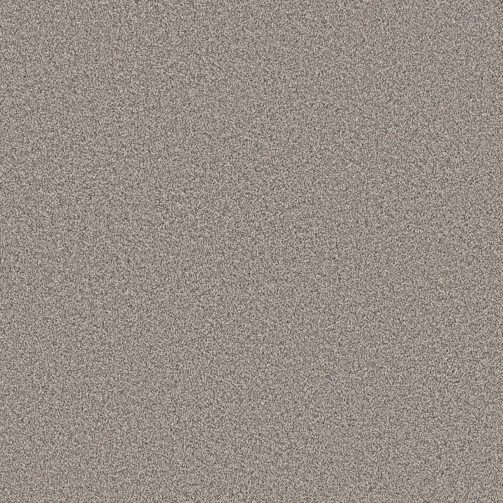 Shaw Floors Grand Influence III — Platinum · 5E904-00533 — flooring selection with LeviArs Design & Remodeling
