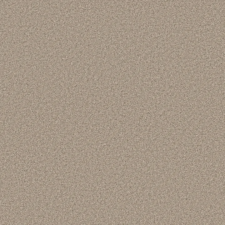 Shaw Floors Grand Influence III — Sand Hill · 5E904-00710 — flooring selection with LeviArs Design & Remodeling