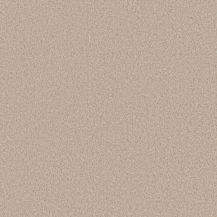 Shaw Floors Grand Influence III — Satin Shimmer · 5E904-00122 — flooring selection with LeviArs Design & Remodeling