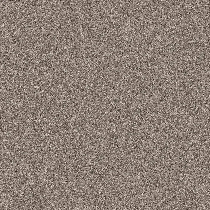 Shaw Floors Grand Influence III — Stepping Stone · 5E904-00126 — flooring selection with LeviArs Design & Remodeling