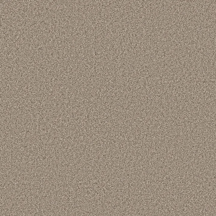 Shaw Floors Grand Influence III — Stucco · 5E904-00120 — flooring selection with LeviArs Design & Remodeling