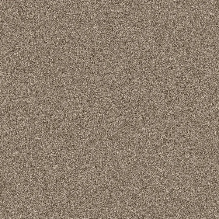Shaw Floors Grand Influence III — Summer Straw · 5E904-00210 — flooring selection with LeviArs Design & Remodeling