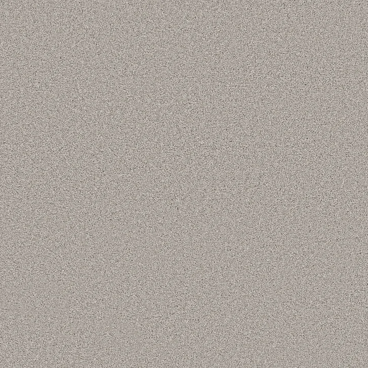 Shaw Floors Grand Influence II — Gentle Wind · 5E903-00121 — flooring selection with LeviArs Design & Remodeling