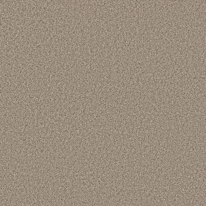 Shaw Floors Grand Influence II — Stucco · 5E903-00120 — flooring selection with LeviArs Design & Remodeling