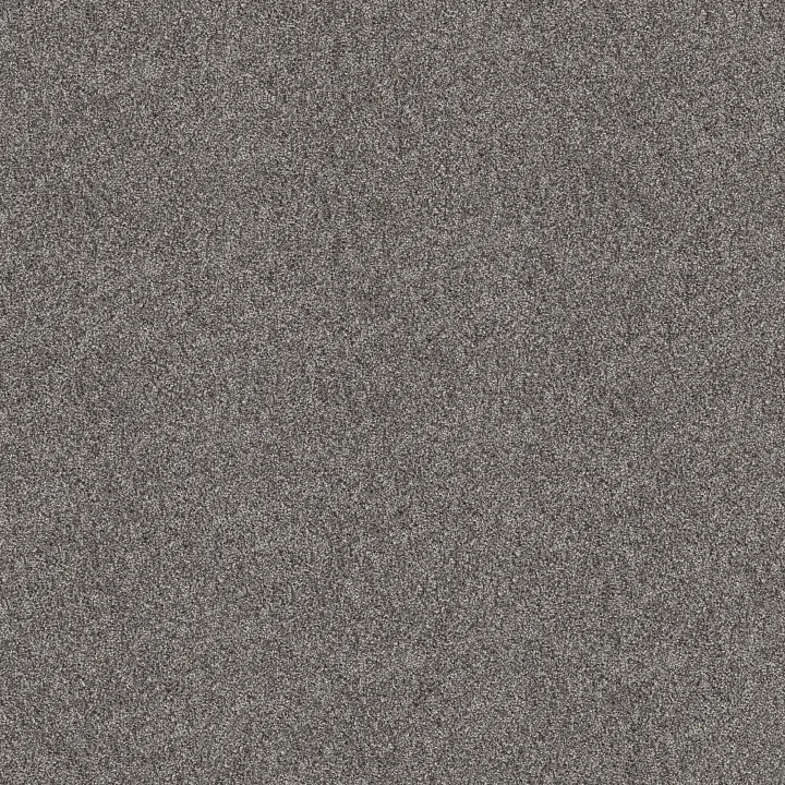 Shaw Floors Grand Outlook — Aircraft · 5E802-00506 — flooring selection with LeviArs Design & Remodeling
