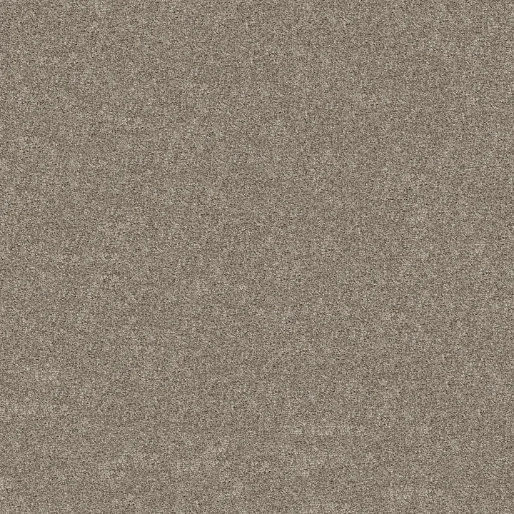 Shaw Floors Grand Outlook — Cameo · 5E802-00105 — flooring selection with LeviArs Design & Remodeling
