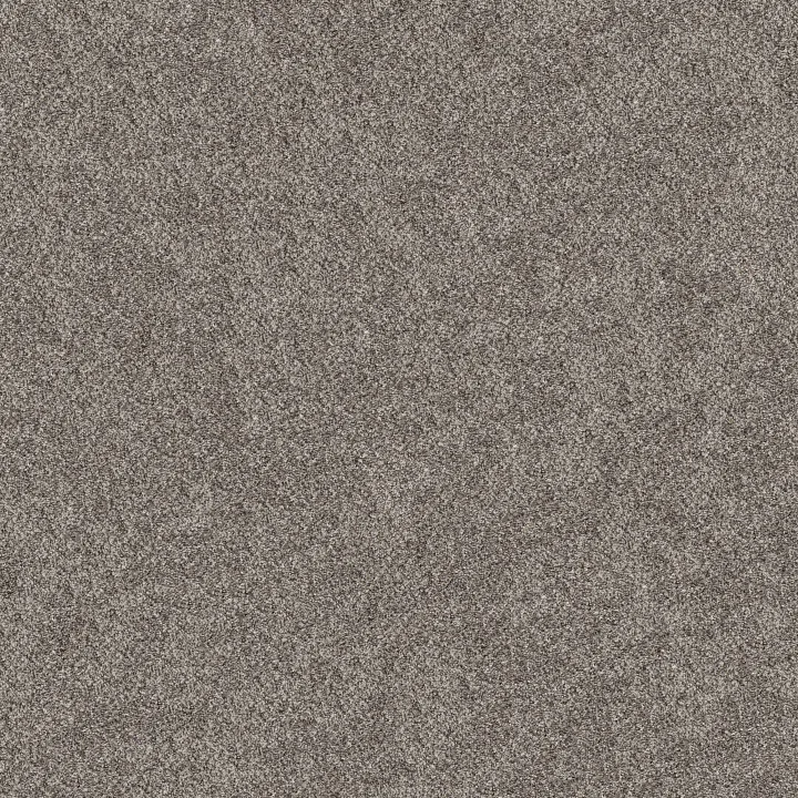 Shaw Floors Grand Outlook — Hammerhead · 5E802-00512 — flooring selection with LeviArs Design & Remodeling