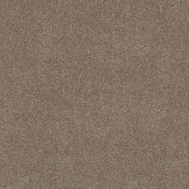 Shaw Floors Grand Outlook — Hearth Stone · 5E802-00101 — flooring selection with LeviArs Design & Remodeling