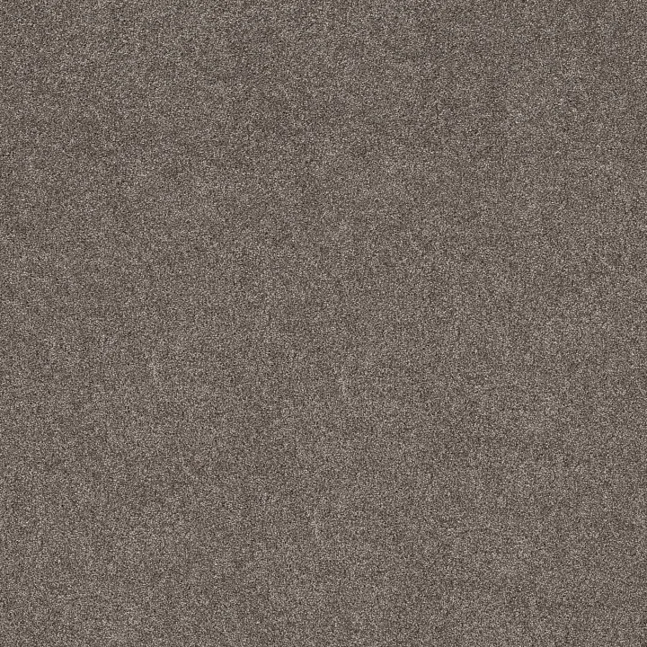 Shaw Floors Grand Outlook — Homestead · 5E802-00700 — flooring selection with LeviArs Design & Remodeling