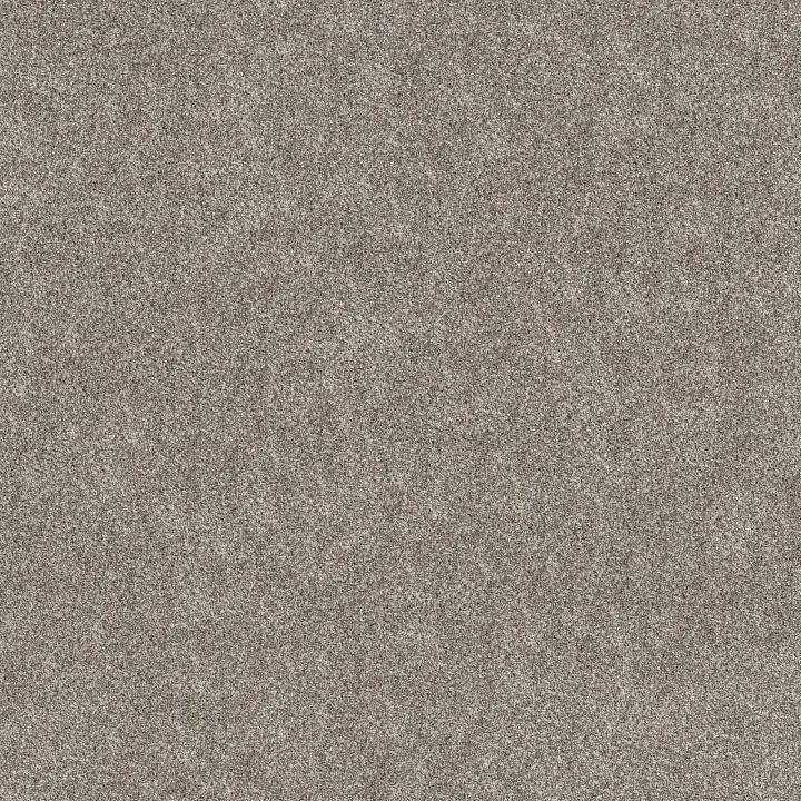 Shaw Floors Grand Outlook — Mission Ridge · 5E802-00111 — flooring selection with LeviArs Design & Remodeling