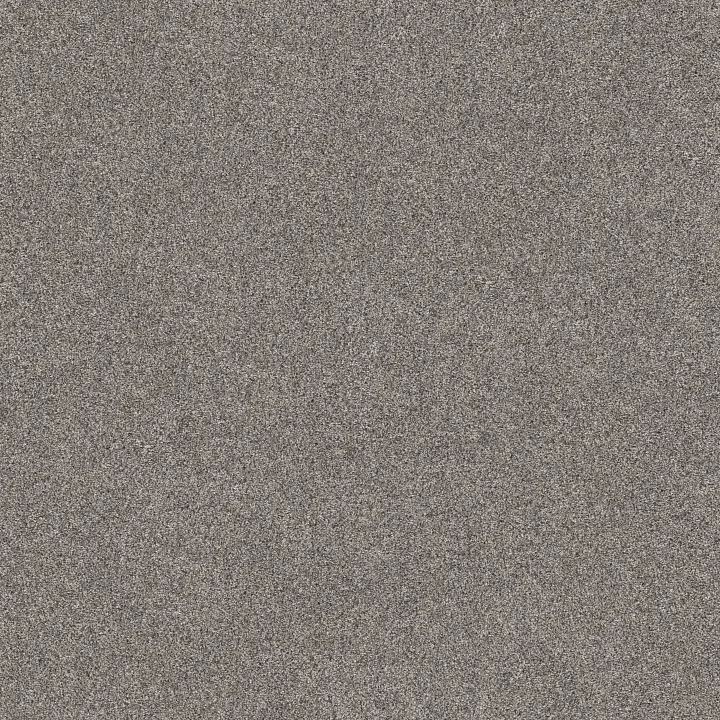 Shaw Floors Grand Outlook — Mystic · 5E802-00509 — flooring selection with LeviArs Design & Remodeling