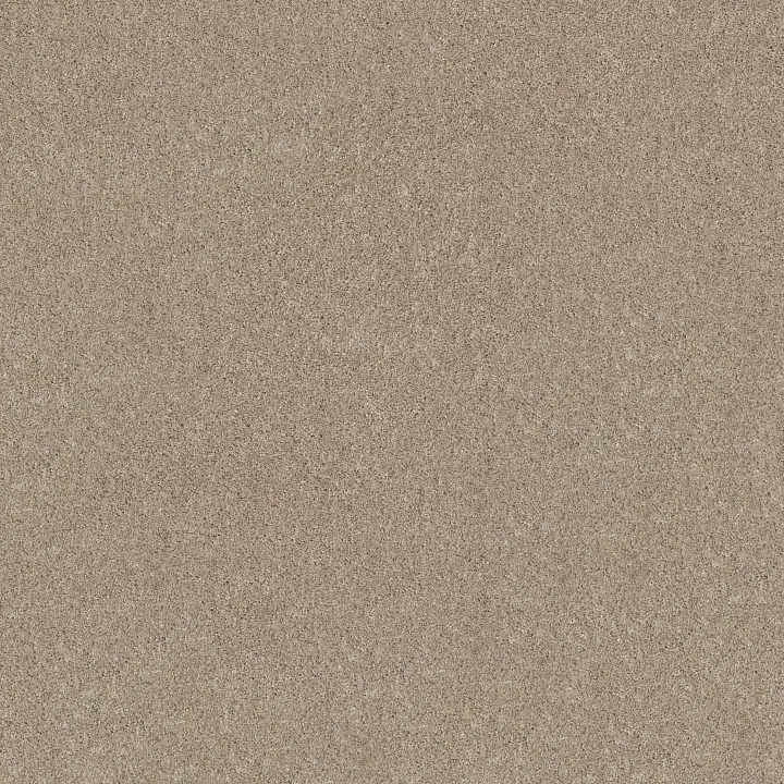 Shaw Floors Grand Outlook — Natural · 5E802-00106 — flooring selection with LeviArs Design & Remodeling