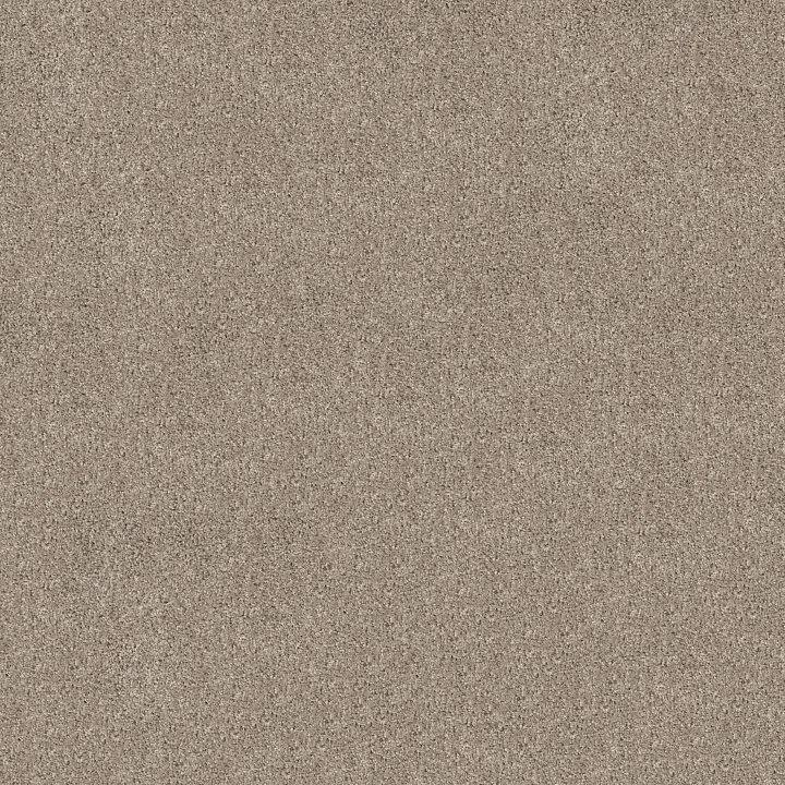 Shaw Floors Grand Outlook — Sculpture · 5E802-00107 — flooring selection with LeviArs Design & Remodeling