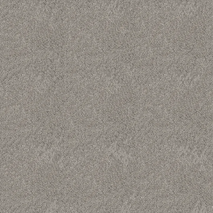 Shaw Floors Grand Outlook — Shadow · 5E802-00505 — flooring selection with LeviArs Design & Remodeling