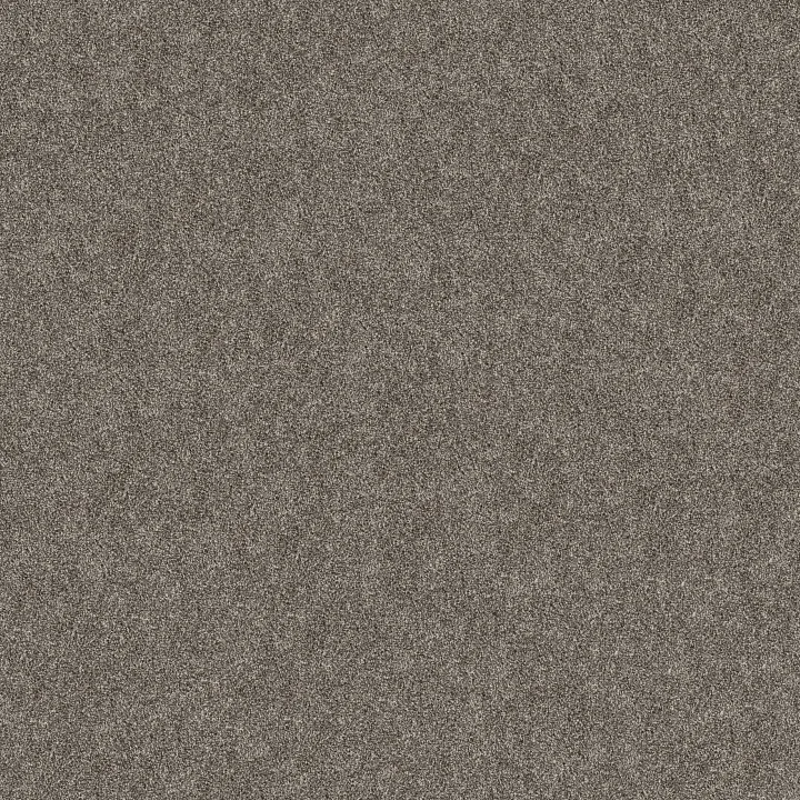 Shaw Floors Grand Outlook — Worn Path · 5E802-00108 — flooring selection with LeviArs Design & Remodeling