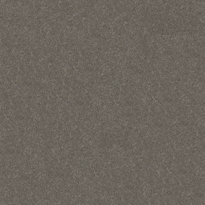 Shaw Floors Hard At Play I 15' — Ashes · 5E580-00501 — flooring selection with LeviArs Design & Remodeling