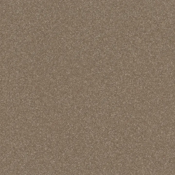 Shaw Floors Hard At Play II 12' — Cameo · 5E558-00113 — flooring selection with LeviArs Design & Remodeling