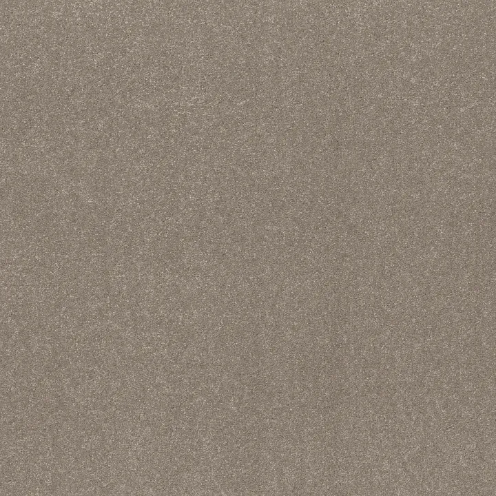 Shaw Floors Hard At Play II 12' — Chic Greige · 5E558-00111 — flooring selection with LeviArs Design & Remodeling