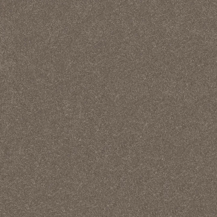 Shaw Floors Hard At Play I 15' — Cobblestone · 5E580-00750 — flooring selection with LeviArs Design & Remodeling