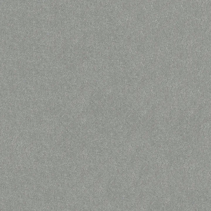 Shaw Floors Hard At Play I 15' — Frosted Leaf · 5E580-00353 — flooring selection with LeviArs Design & Remodeling