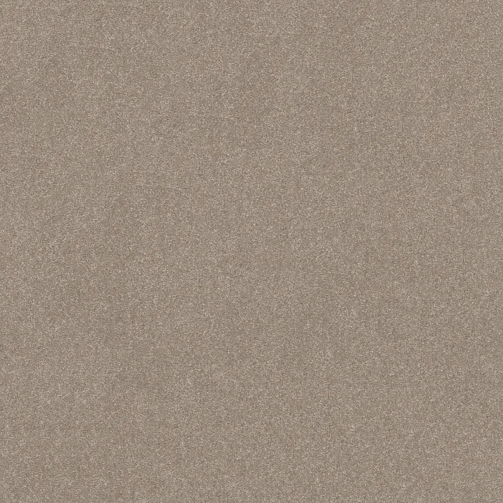 Shaw Floors Hard At Play II 12' — Glacier · 5E558-00110 — flooring selection with LeviArs Design & Remodeling