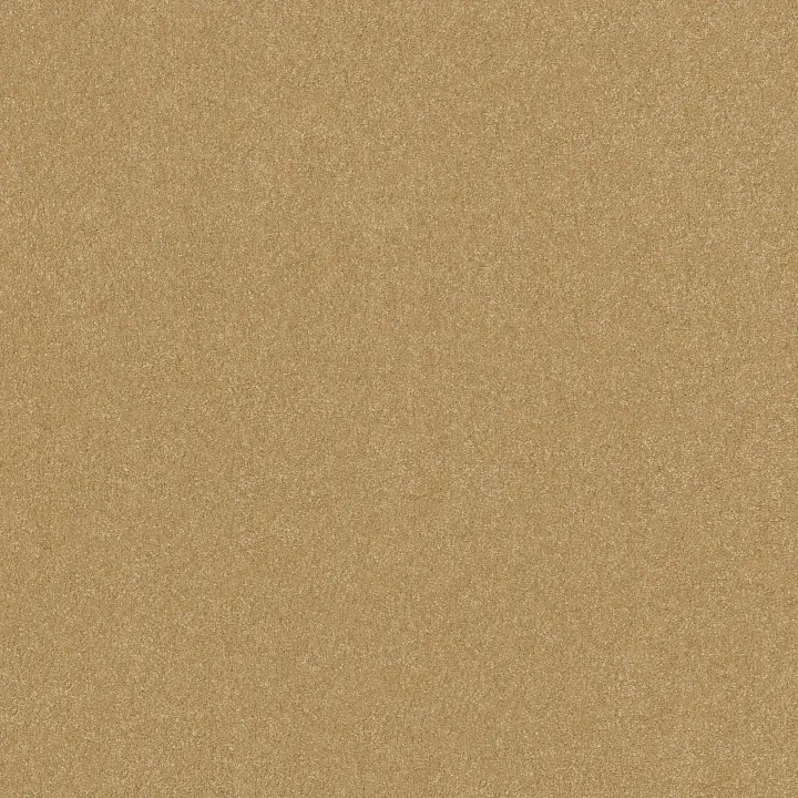 Shaw Floors Hard At Play I 15' — Honeycomb · 5E580-00207 — flooring selection with LeviArs Design & Remodeling