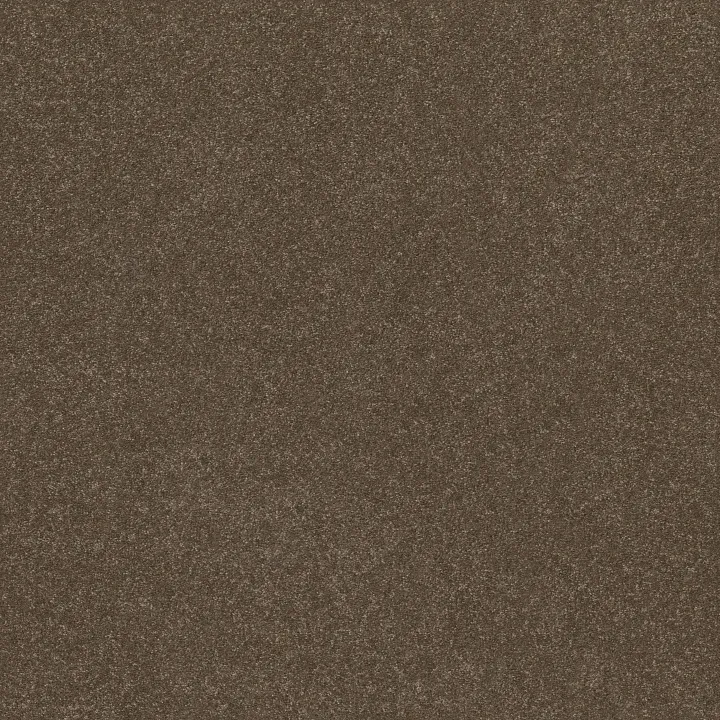 Shaw Floors Hard At Play I 15' — Mission Ridge · 5E580-00705 — flooring selection with LeviArs Design & Remodeling