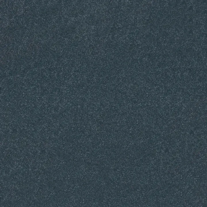 Shaw Floors Hard At Play II 12' — Refined · 5E558-00402 — flooring selection with LeviArs Design & Remodeling