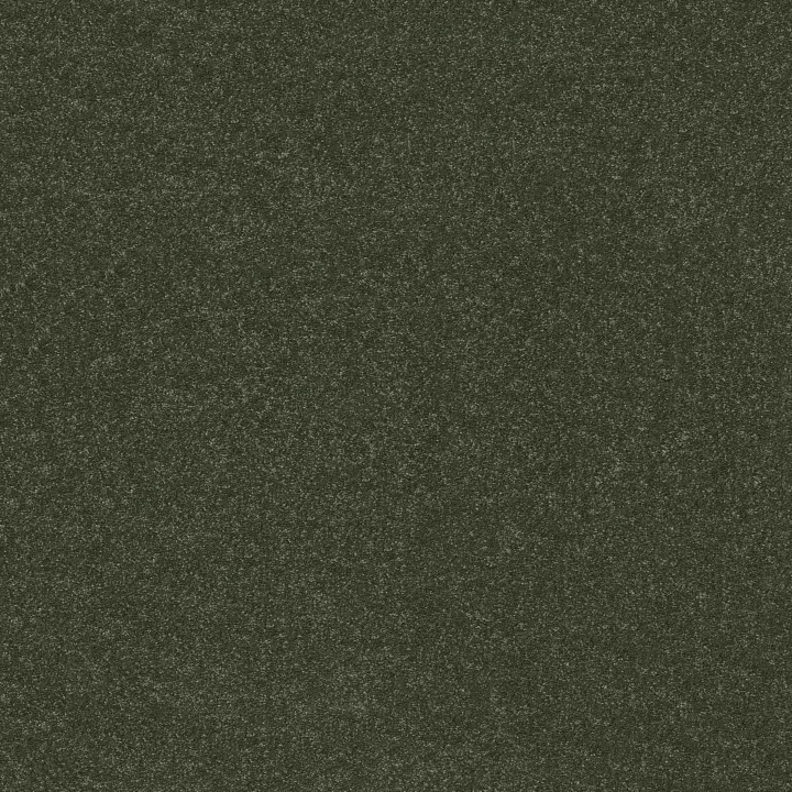 Shaw Floors Hard At Play I 15' — Rerooted Nature · 5E580-00300 — flooring selection with LeviArs Design & Remodeling