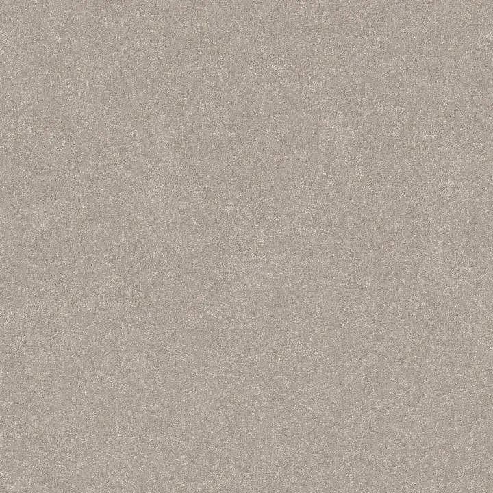 Shaw Floors Hard At Play I 15' — Sculpture · 5E580-00115 — flooring selection with LeviArs Design & Remodeling
