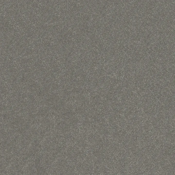Shaw Floors Hard At Play I 15' — Shy Sage · 5E580-00352 — flooring selection with LeviArs Design & Remodeling