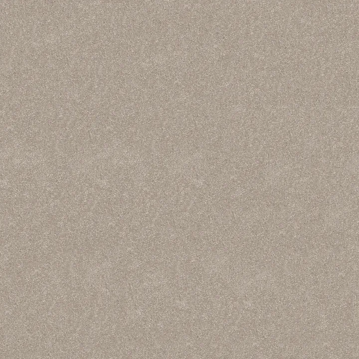 Shaw Floors Hard At Play II 12' — Soft Sense · 5E558-00112 — flooring selection with LeviArs Design & Remodeling