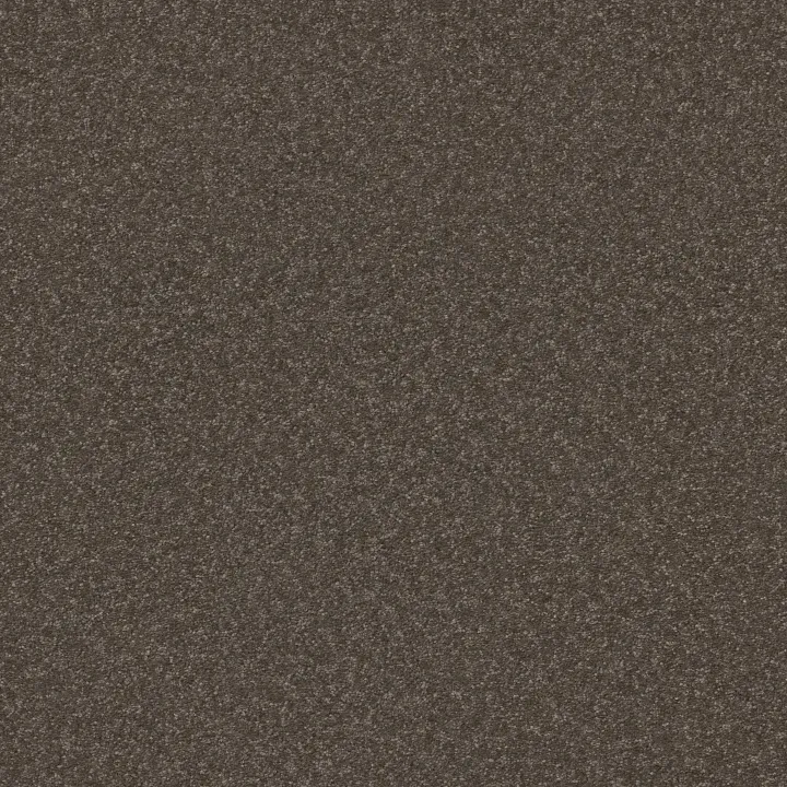 Shaw Floors Hard At Play I 15' — Urban Rustic · 5E580-00708 — flooring selection with LeviArs Design & Remodeling